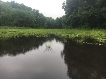 gr headwaters july 24