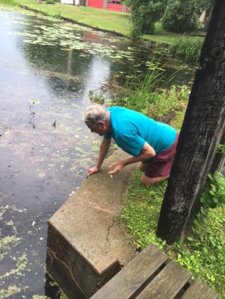 gr searching 4 wallet 2 july 24