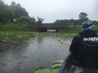 gr spider bridge july 24